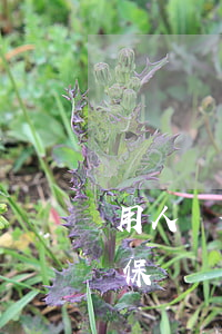 用人單位可否用人身意外傷害保險替代工傷保險？
